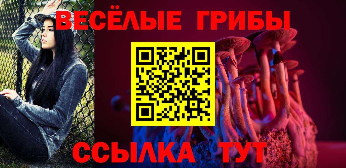 сколько стоит  Вход с VPN  Галлюциногенные грибы мицелий  Мытищи  Псилоцибиновые грибы MAGIC MUSHROOMS 